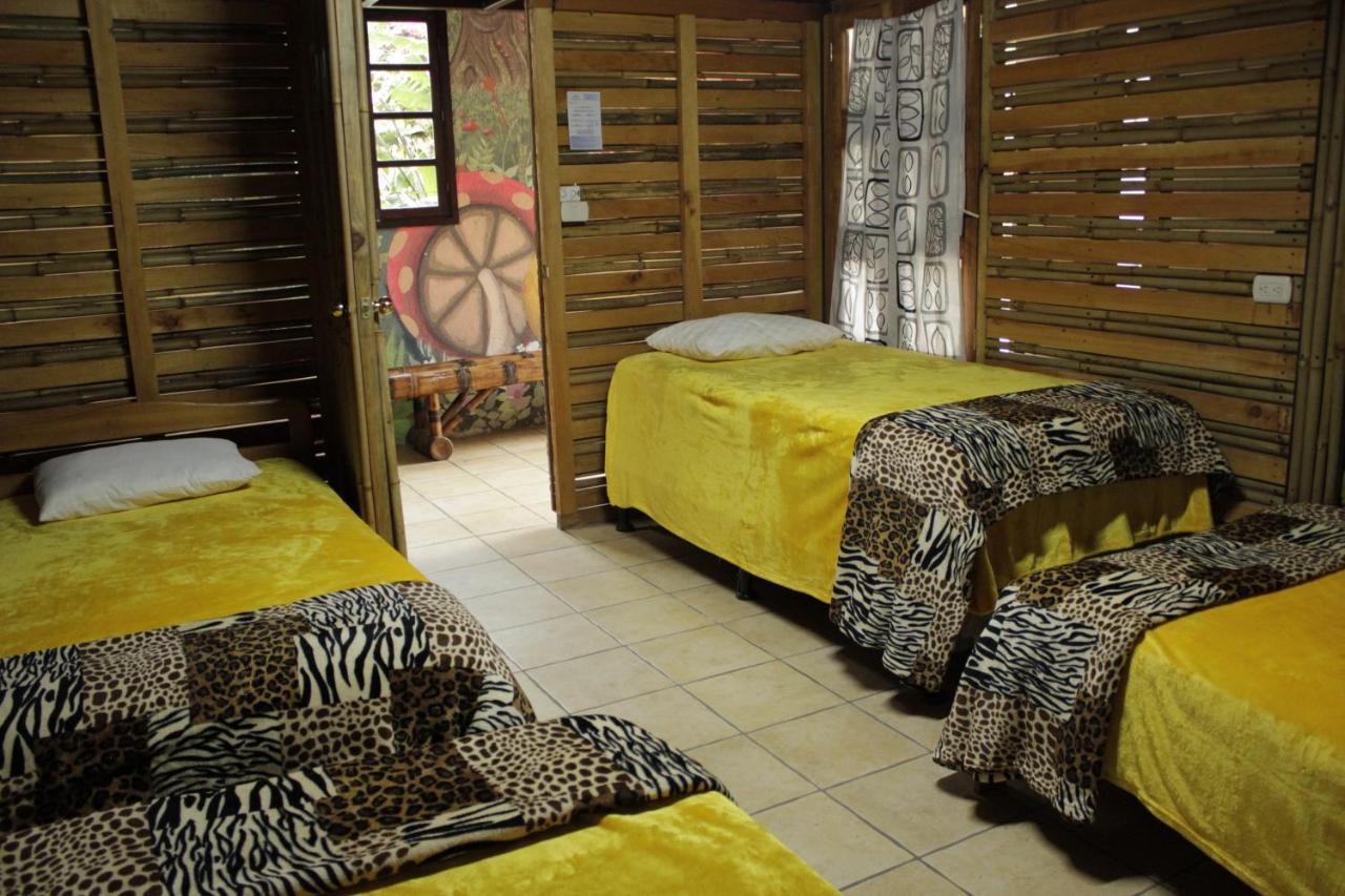 Hostal Casa Buho Antigua Eksteriør billede